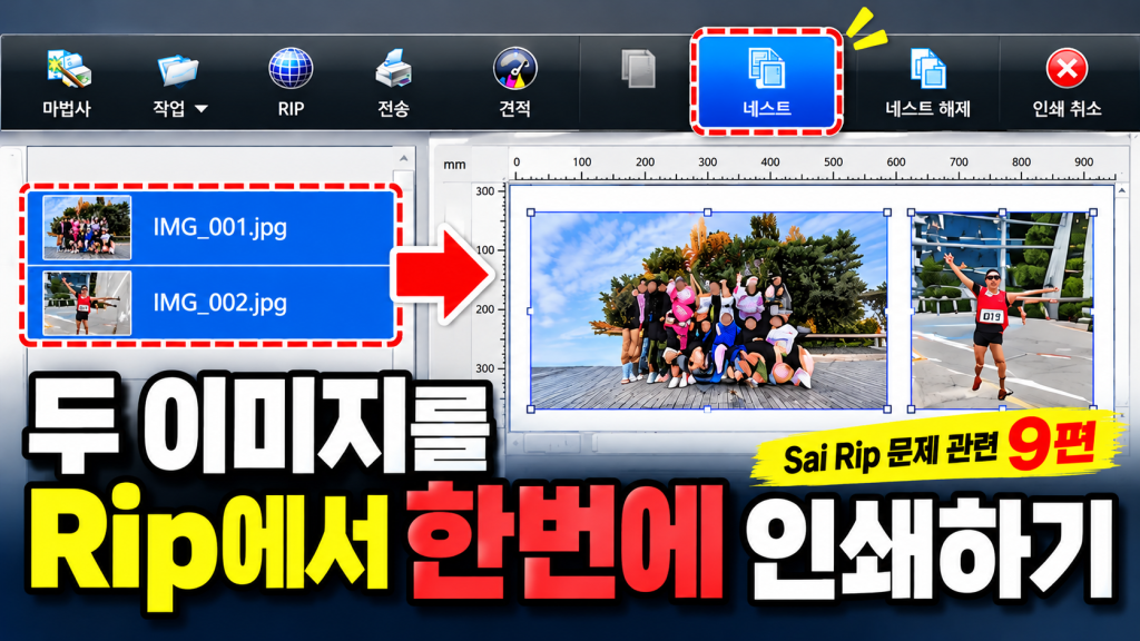 Sai Flexi Rip 사용 팁 10편 증상별 정리